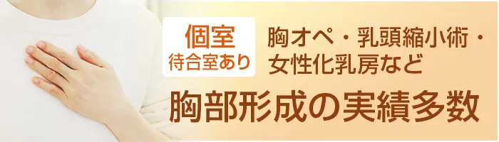 胸部形成の実績多数
